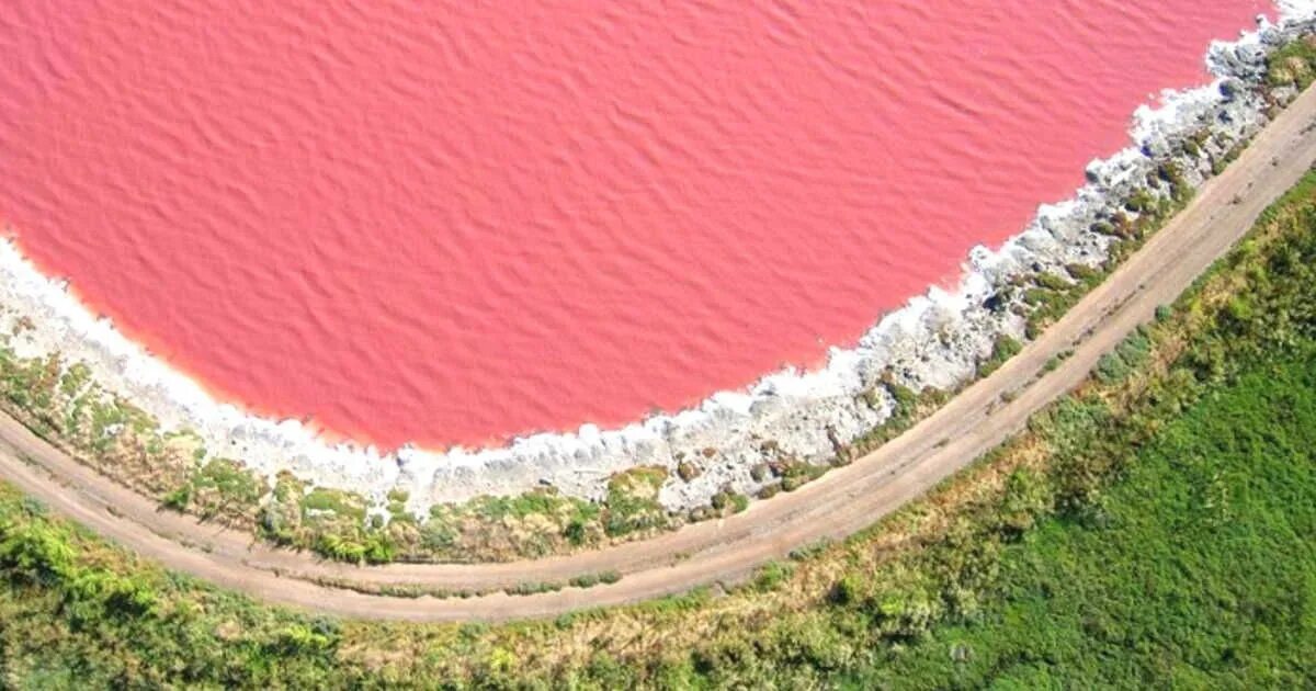 Rose lake