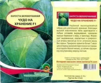Лучшие сорта капусты для хранения на зиму