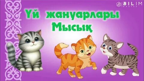 Жалаңаш балапан оның мысығын сипады