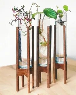 Tube plant