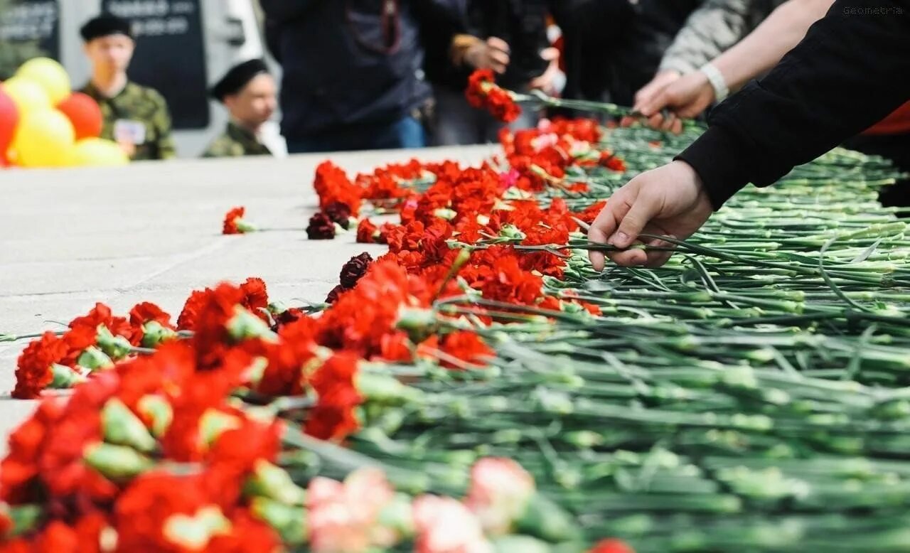 Был великий день победы много. Гвоздика на возложение. Возложение цветов. Возложенные цветы. Возложение цветов гвоздика.