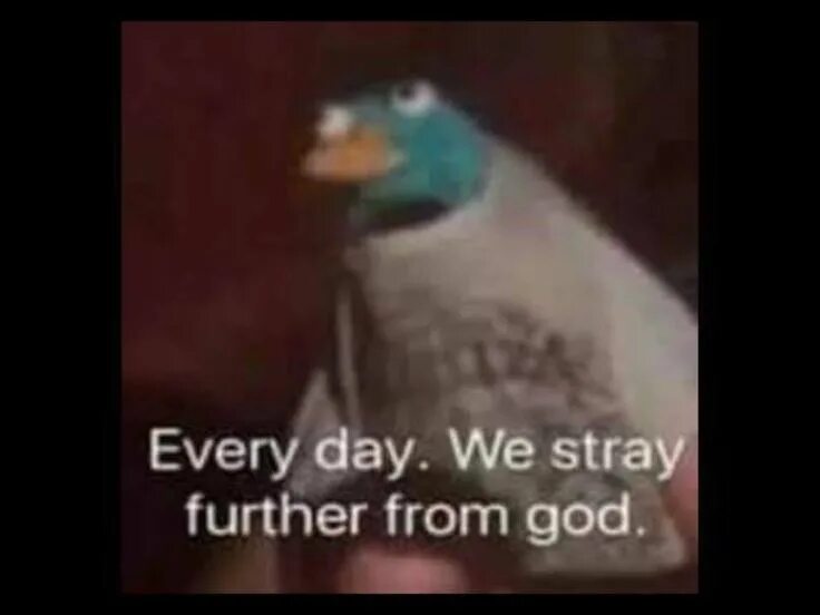 Every day is different in the. Every day we stray further from god мем. every day we get further from god. every day we stay further from god мем. everyday we stray further from god meme.