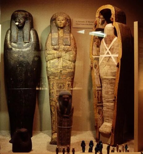 • мумия клеопатры из фив (100 год н. Анубис на саркофаге тутанхамона. Мумия амонхет мтг. Египтянин имхотеп арт. Маска фараона псусеннеса.