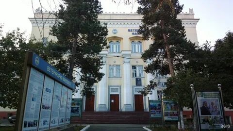 Проспект факультета