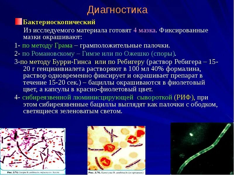 Бактериоскопия мазка
