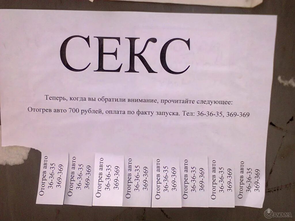 Привет я твой единственный зритель паста