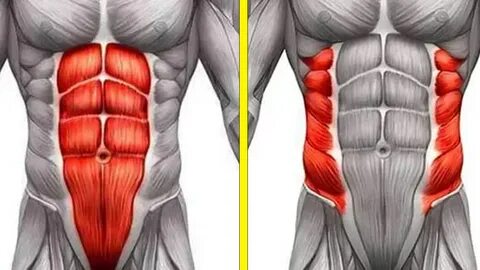 Накачайте 6 кубиков пресса к лету - 15 лучших упражнений дома.