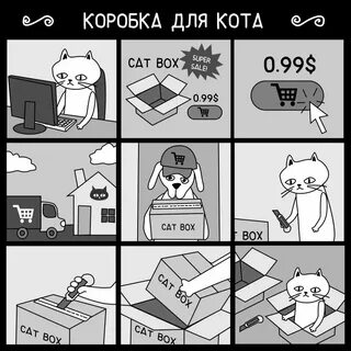 Cat sales