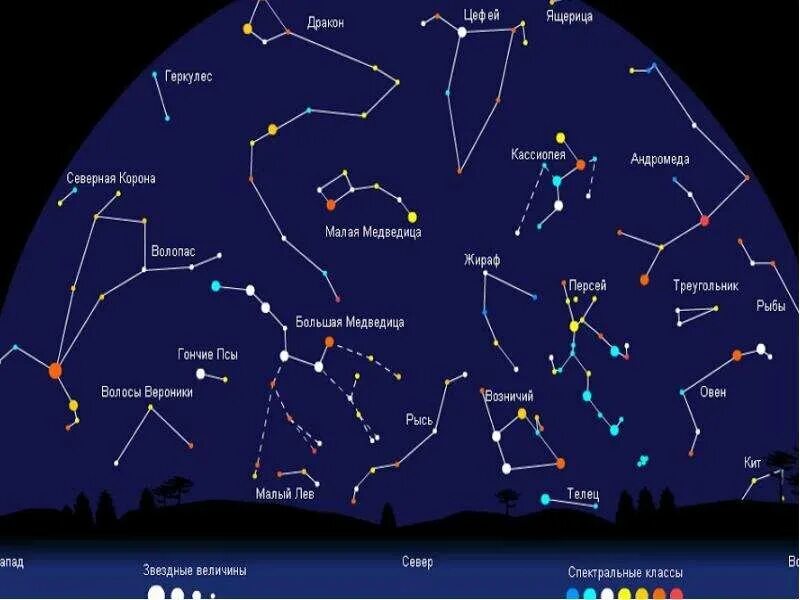 Созвездия летнего неба Северного полушария. Созвездие малая Медведица на Звездном небе. Звездное небо с созвездиями Орион Кассиопея и лебедь. Большая Медведица на карте звездного неба.