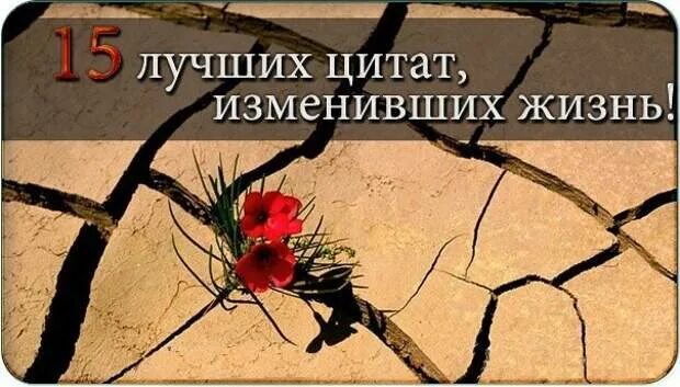 Фразы изменившие жизнь. 15 лучших цитат, изменивших жизнь!. 15 цитат меняющих жизнь. 15 цитат меняющих жизнь в картинках. 15 цитат меняющих жизнь дзен.