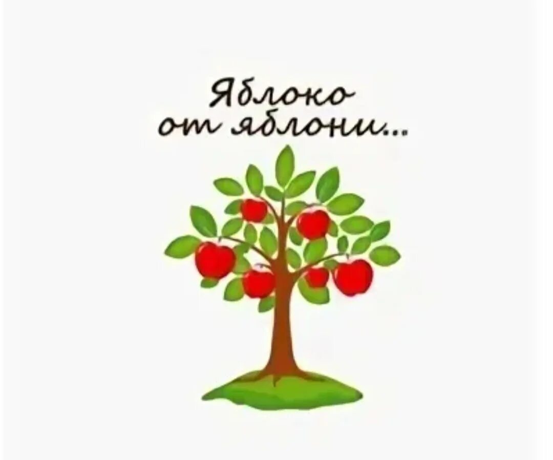 Яблоко от яблони недалеко значение. Яблонька от яблоньки. яблоко от яблони недалеко падает. яблоко от яблоньки недалеко падает. яблочко от яблони.
