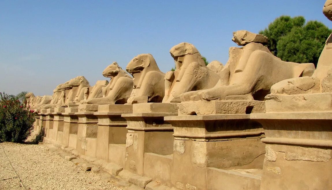 Луксор египет аллея сфинксов. Карнакский храм аллея сфинксов. Лошади гиза. Луксор египет аллея сфинксов. Сфинкс 4к.