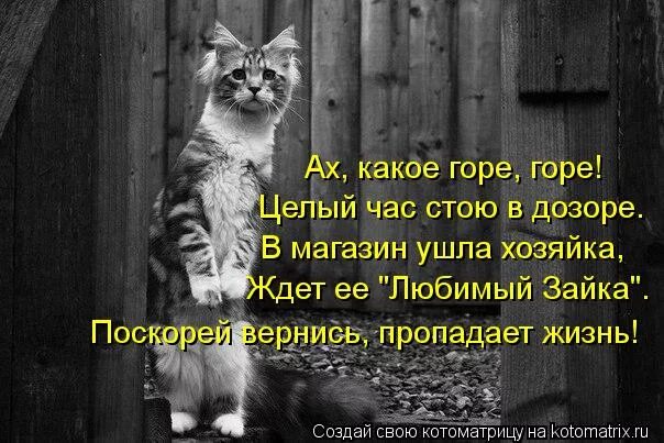 мемы про совещания. котоматрица пятница. идите целый час. шёл второй час совещания мы держались как могли. мемы про фемок.