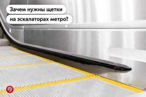 Зачем нужны щетки