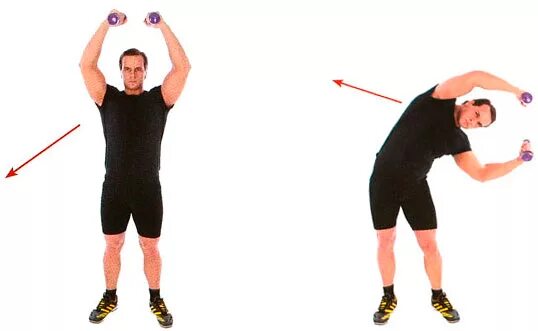 наклоны корпуса тела работника. выпады в сторону. наклоны корпуса тела работника. наколы ьуловища в стороны. наклоны корпуса тела работника.