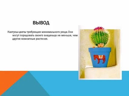 Вывод кактуса