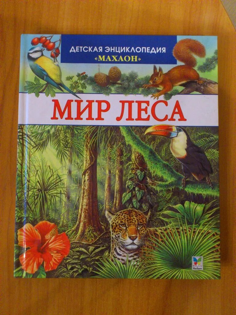 Войти в мир леса. Детская энциклопедия махаон мир леса. книга мир леса махаон. детская энциклопедия энциклопедия махаон. книги про лес для детей.