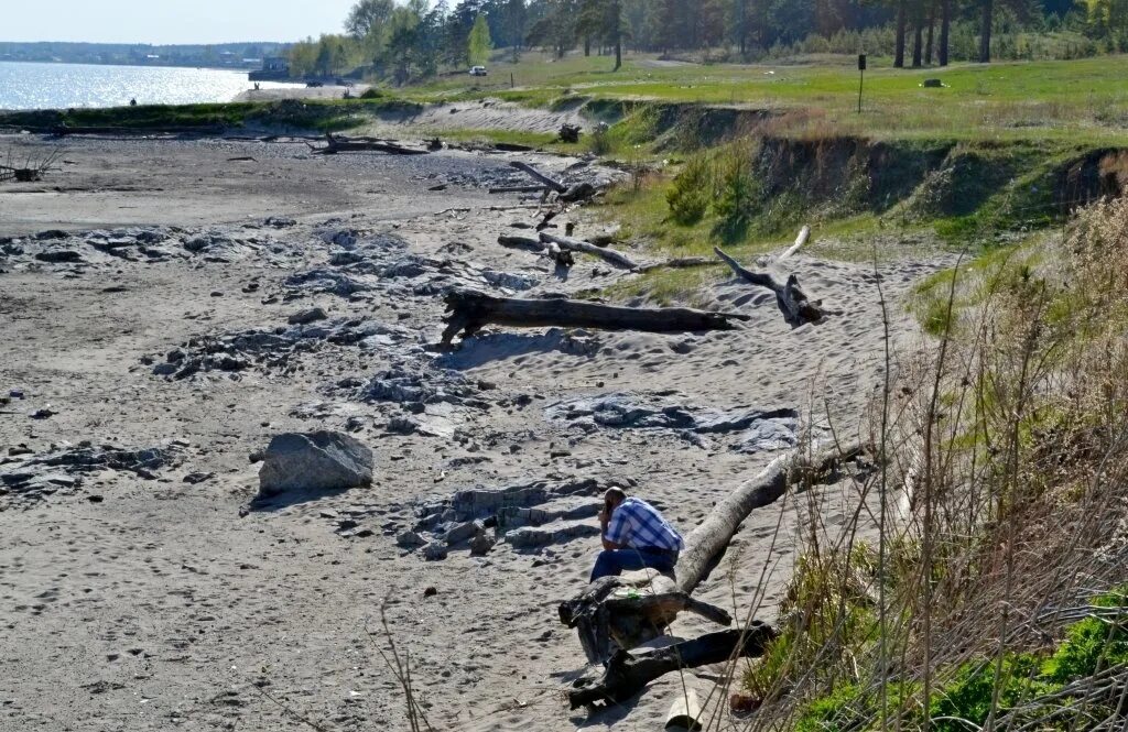 17 серию отчего берега. Обское море Бердск. Берега Обского водохранилища. Обское водохранилище Новосибирск. Обское море грязь Новосибирск.