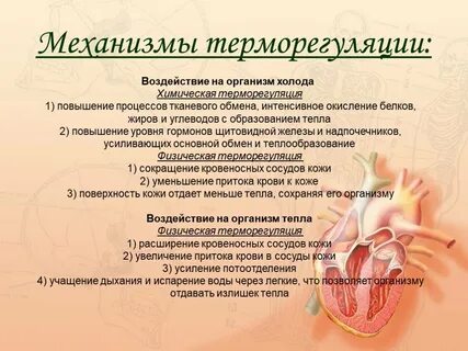 Воздействие тепла