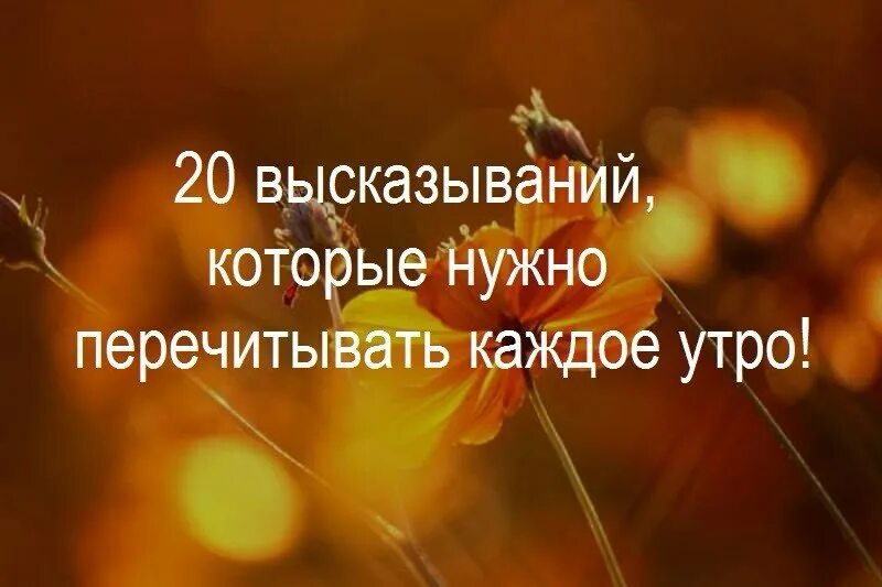 анекдоты с добрым утром. цитаты про утро смешные. цитаты про утро. смешные высказывания про утро. утро высказать.