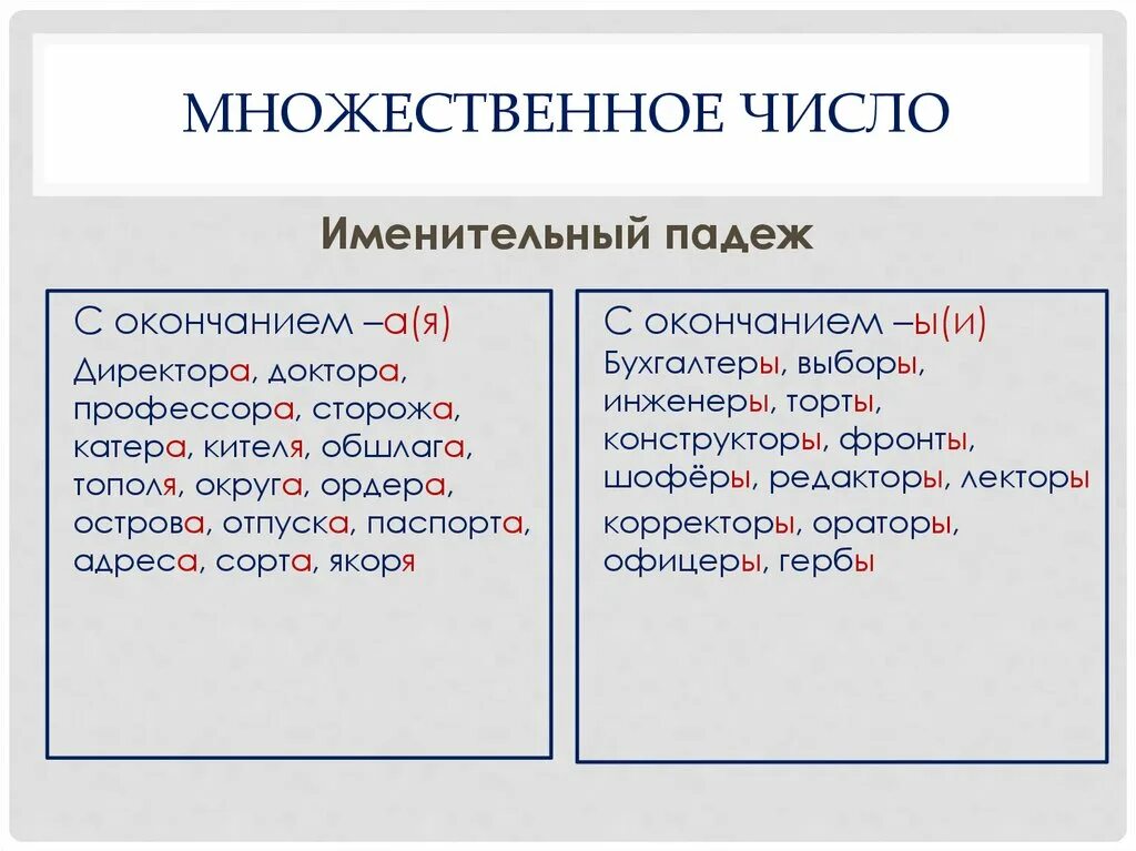 Сторожи множественное. Профессор множественное число именительный падеж. Профессор мн число. Катер множественное число именительный падеж. Катер множественное число.