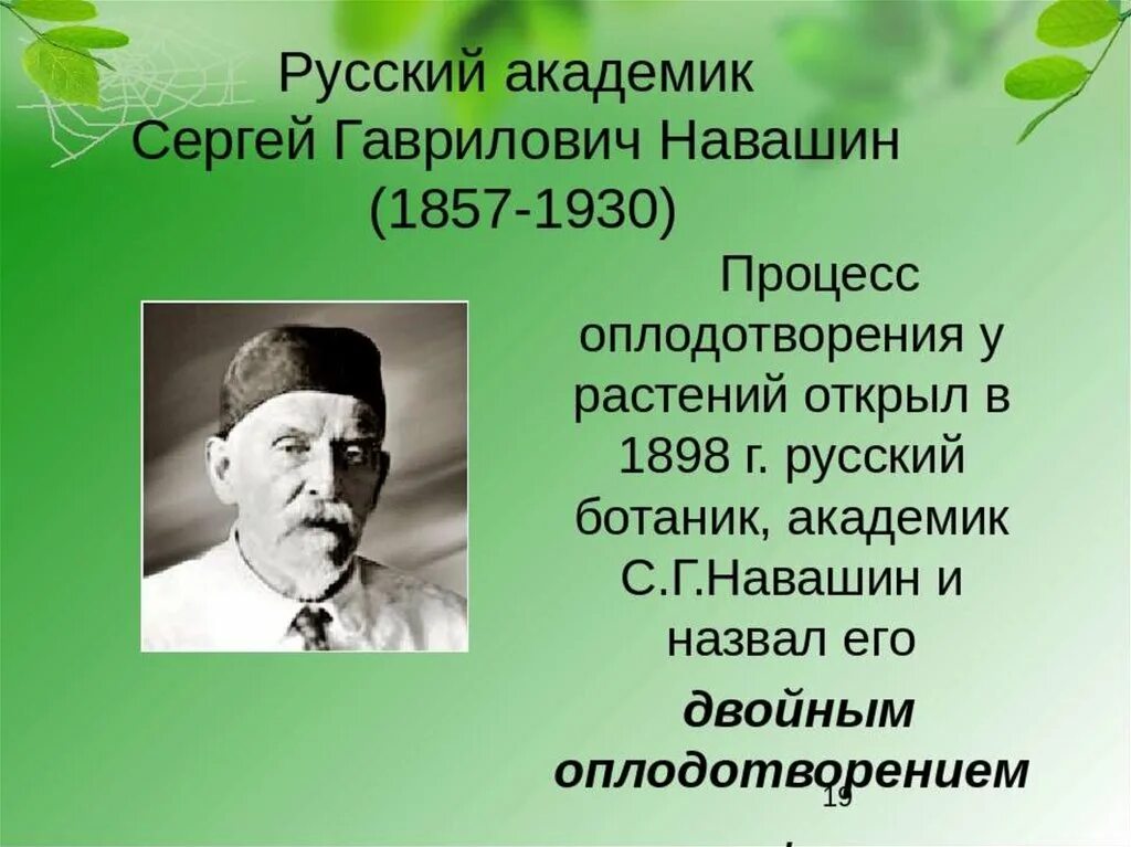 Биография навашина