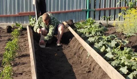 Теплые грядки весной