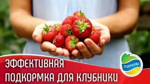 Органик микс ягодное
