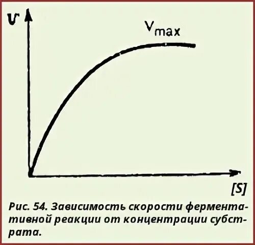 Изучите график зависимости выработки фермента. Принципы количественного определения активности ферментов. Зависимость скорости ферментативной реакции от количества субстрата. Зависимость скорости роста микроорганизмов от температуры. Зависимость скорости роста микроорганизмов от величины PH.