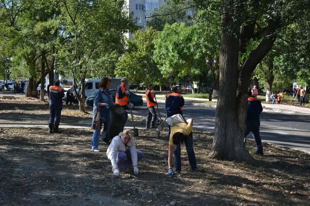 Погода невинномысск на 3 по часам. Субботник Невинномысск. Учителя на субботнике.