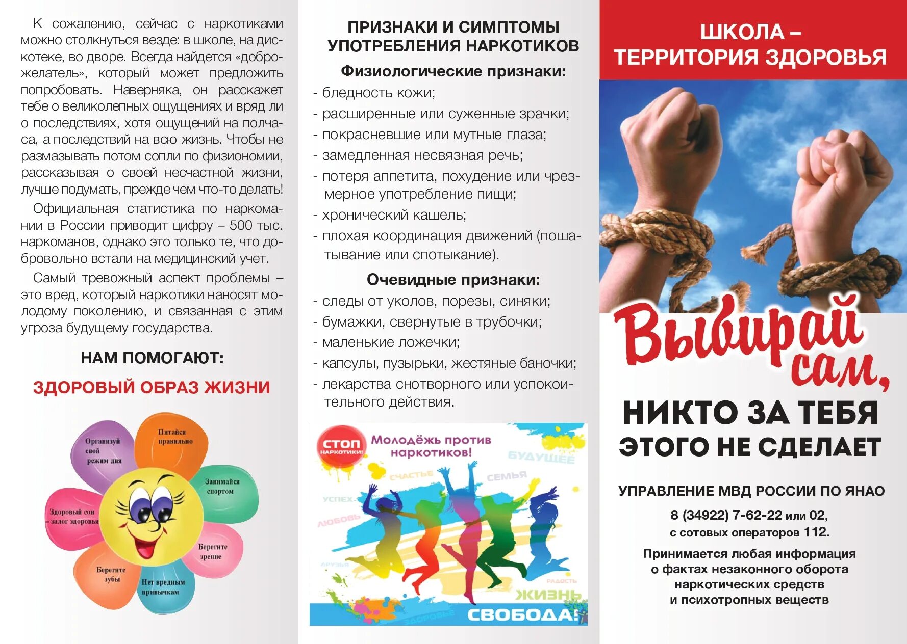 Программа выбираем жизнь