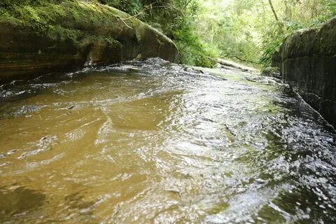 Водоток