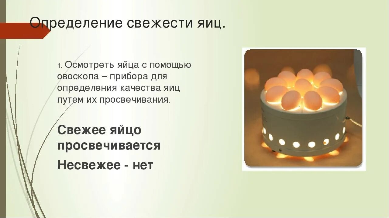 Как проверить испортилось яйцо или нет