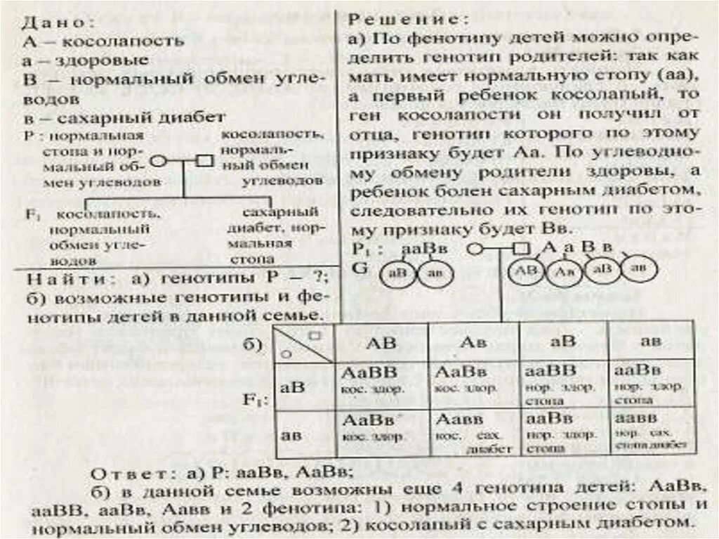 Решение задач по биологии 10 класс генетика. Задачи по генетике на дигибридное скрещивание 10 класс. Задачи по биологии 9 класс генетика дигибридное скрещивание. Биология задачи на дигибридное скрещивание. Задачи моно и дигибридного скрещивания.