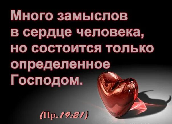 Состоится определенное господом. Много замыслов в сердце человека но состоится только. Много замыслов в сердце человека но состоится. Много замыслов в сердце человека но состоится только определенное. Состоится определенное господом.