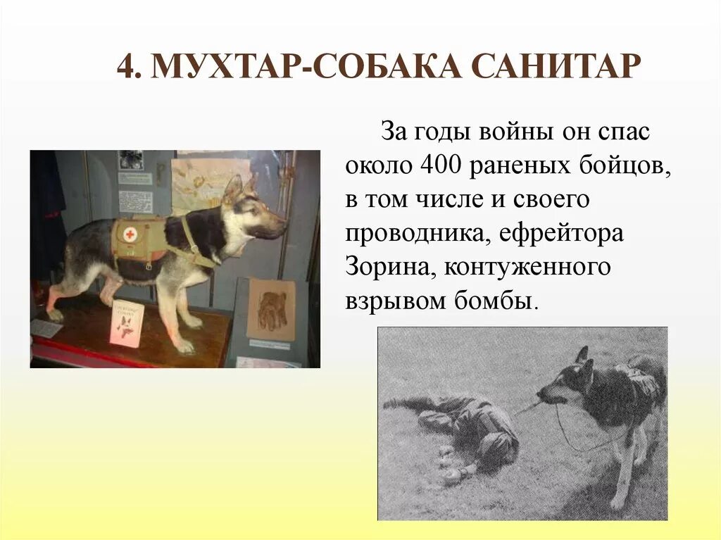 Рассказ собаки герои. Рассказ собаки герои. Рассказ собаки герои. Рассказ собаки герои. Рассказ собаки герои.
