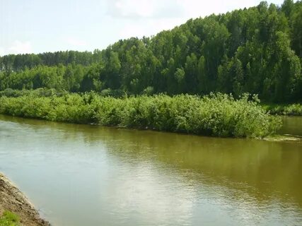 21 иня