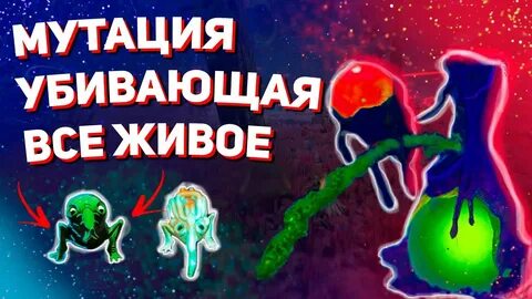 5 мутации