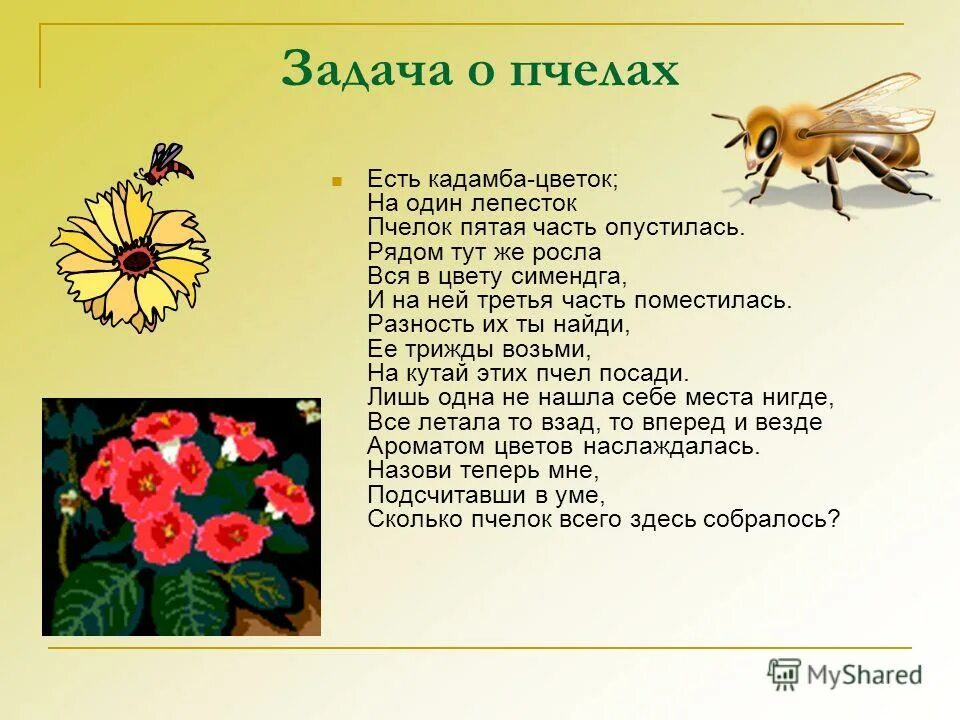 пословицы и поговорки о пчелах и меде. план аленький цветочек. пословица пчела и на красный. интересное сообщение о пчелах. стих про пчелу.