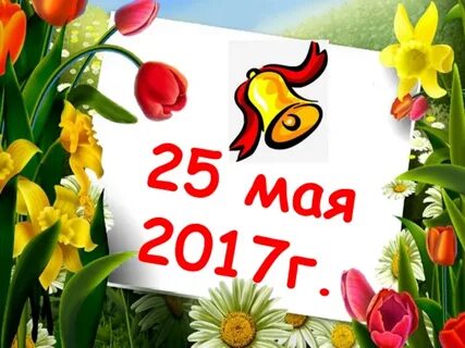 2017 may