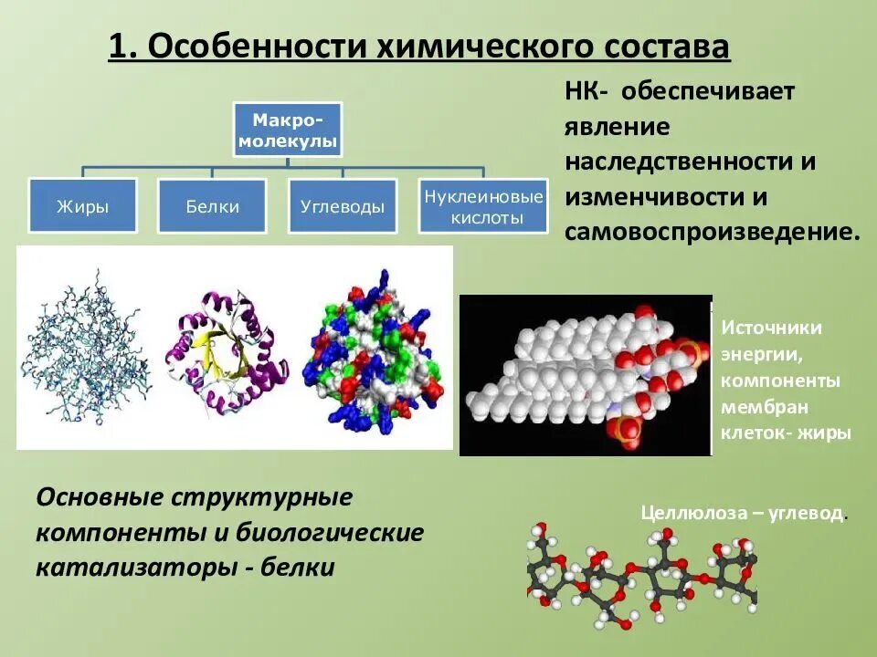 Химические соединения биология