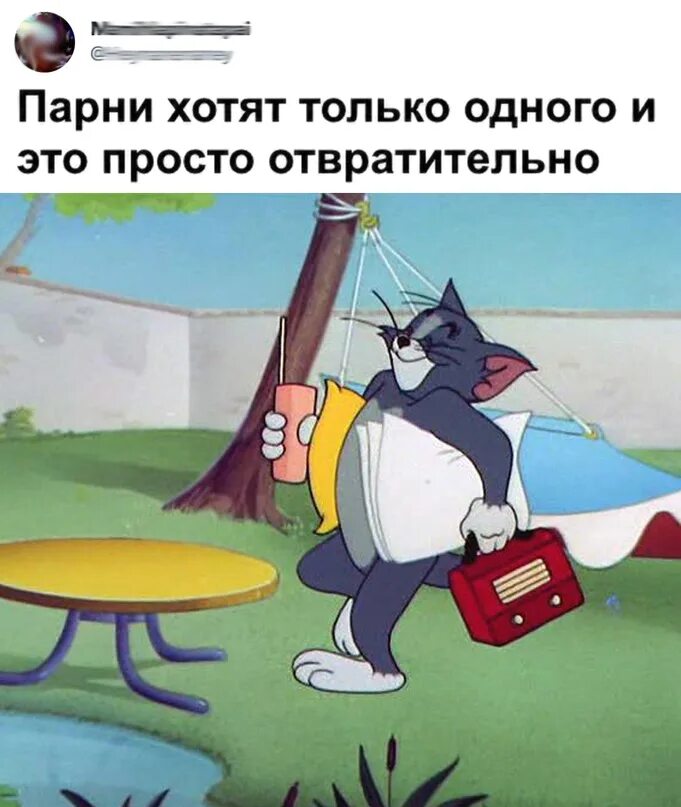 Иди том и джерри. Кот том с чемоданом. кот том и джерри. том и джерри дом. том и джерри довольный.