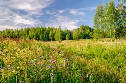 Орловская земля