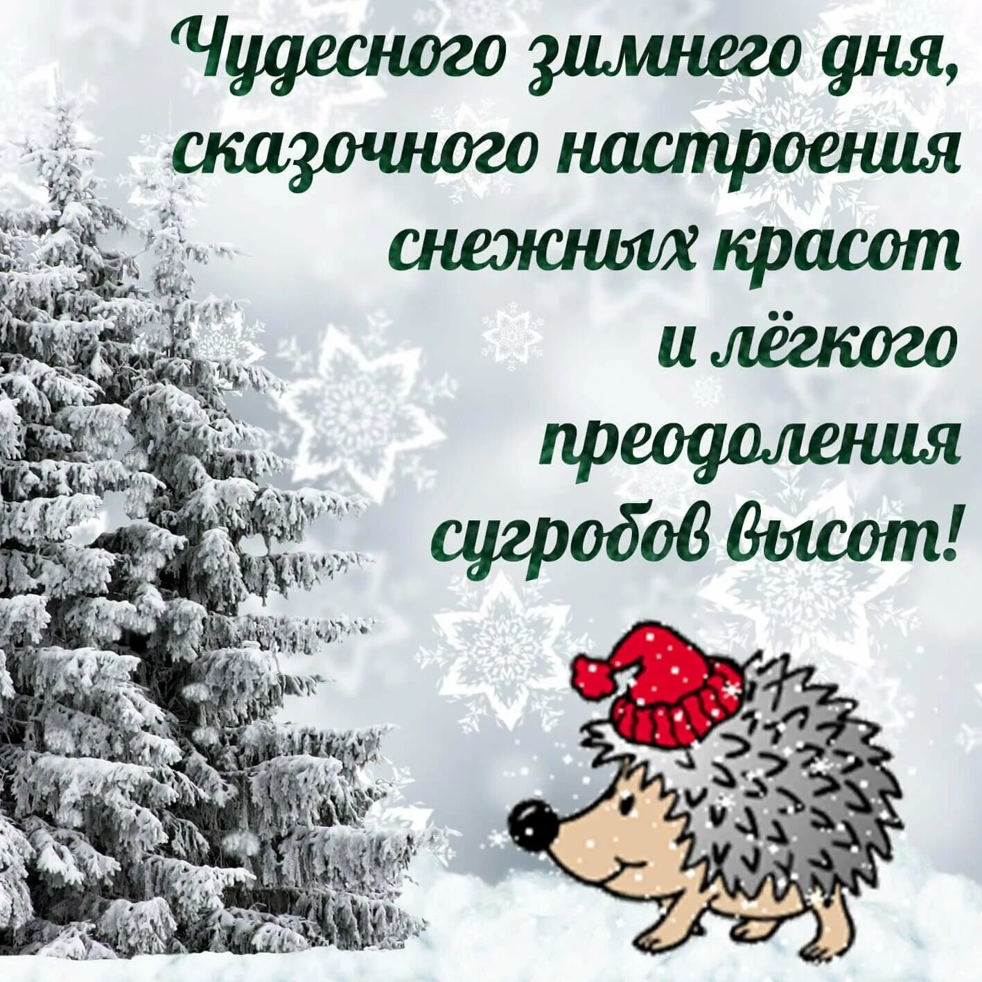 Доброе зимнее утро вторника. Хорошего зимнего дня. Пожелания хорошего зимнего дня и отличного настроения. Зимнее настроение. Зимнего настроения и хорошего дня.