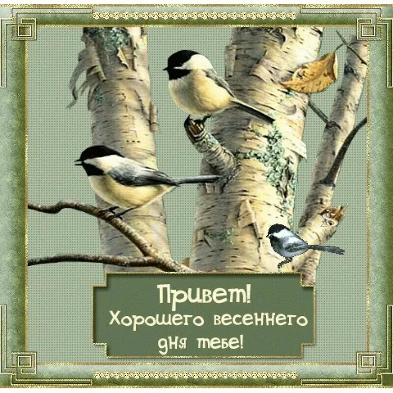 Хорошего весеннего дня. Доброго весеннего дня. Ххорошего весеннего дея. Отличноговессеннего дня. Доброго мартовского дня мужчине