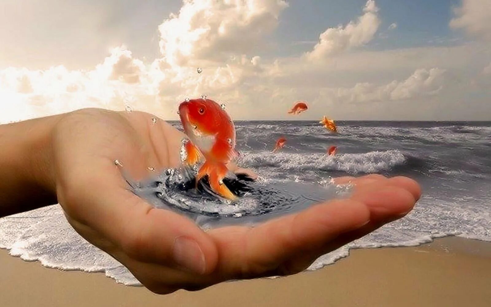 Новые счастья всем. Золотая рыбка в руках. Золотая рыбка исполнение желаний. Добро у моря. Золотая рыбка исполняет желания.