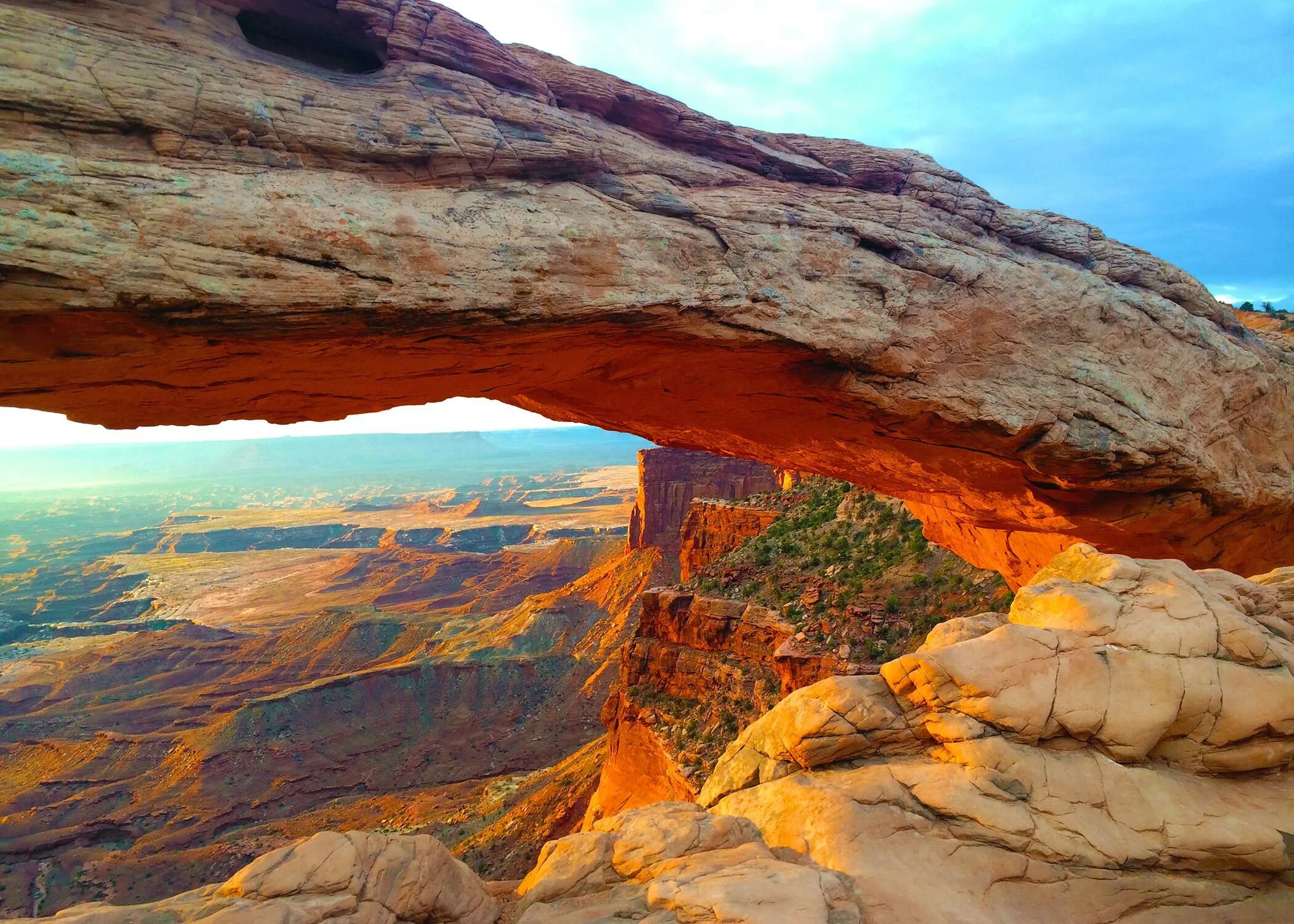 Mesa ark