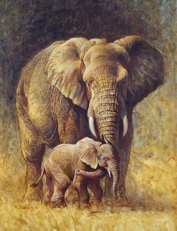 Father elephant. Картины со слонами. Слон пастелью. Слон живопись. Слониха со слоненком.