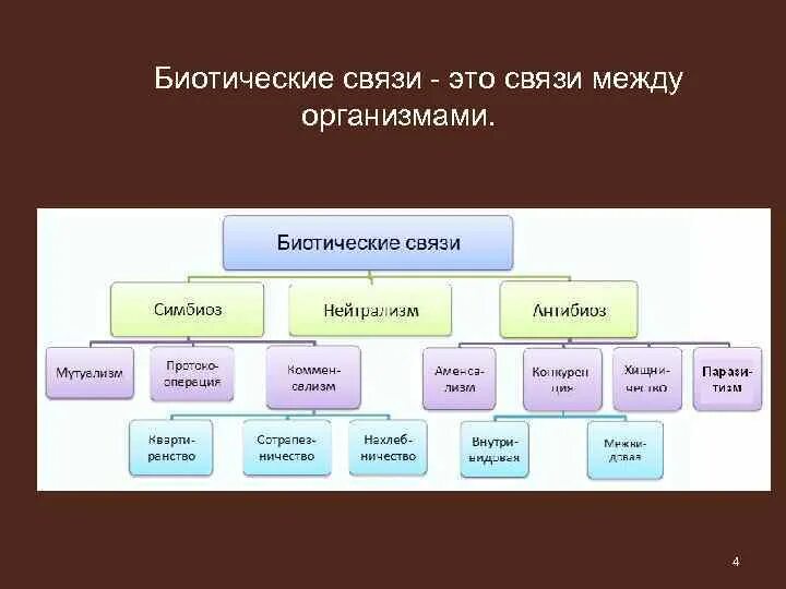 Какие биотические связи. Типы биотических взаимоотношений схема. Типы биотических взаимоотношений между организмами. Биотичические связи. Биотические факторы. Типы взаимоотношений между организмами..