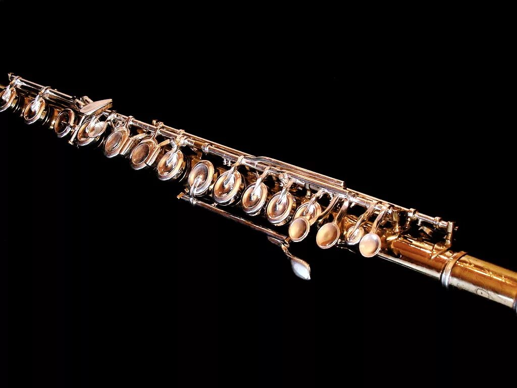 Flute. Eurofon m-1102 флейта-Пикколо. Современная флейта. Необычная флейта. Флейта фото.